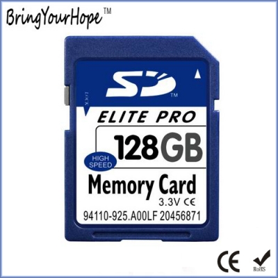 128GB SD Card